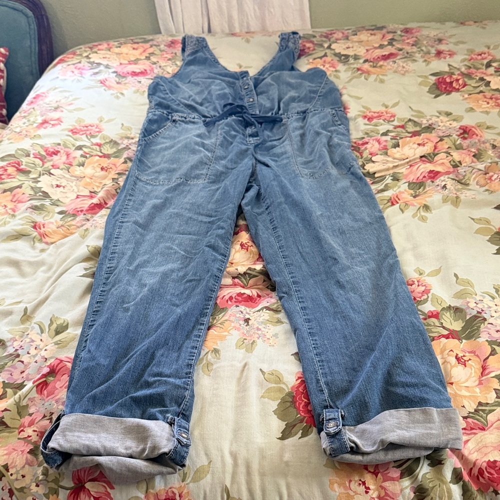 HOLDING HORSES Light Blue Denim Overalls